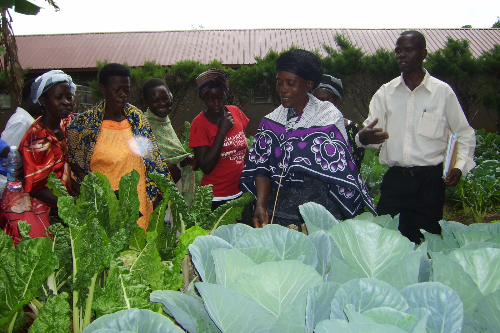 Vegetable gardening at Bishop Asili